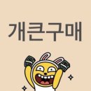 개독기 여성 둘의 오사카 여행 - 1