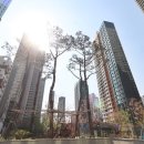 금강좋은집공인중개사사무소 이미지