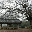 쌍계정 | 유서 깊은 정자, 나주 쌍계정_181118
