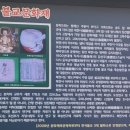 복천사 선원제전집도서 이미지