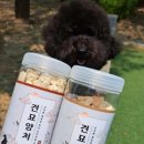 견묘양처 이미지