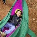 성분도어린이집 이미지