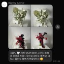 마이제이스 | W16. 노우드하우스 촬영부케 디어마이썸머, 헤어변형 메리누리