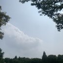 카페 유월 네이버블로그
