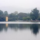 황포돗대 주변 이미지