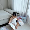 드라이데이 - 군산시 황룡2길 22 | 통기성 맥스! 흡수력 맥스! 아기 여름 기저귀 추천 하기스 맥스드라이 에어 후기