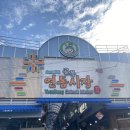 연동골목시장 | 부산 연동시장 소문난 순대 또 감😎