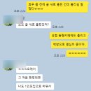 5월 황금연휴 몽골여행 A to Z – 중부투어 준비 완벽 가이드