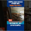 대구초등학교 이미지
