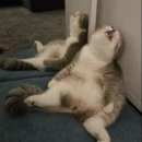 율전로107번길 이미지