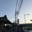 이향가든 - 용인시 처인구 | 용인맛집, 능이버섯삼계탕 맛집 이향가든