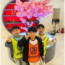 대호태권도 이미지