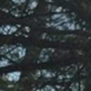 더위드치과의원 이미지