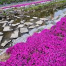 보배반점충주 이미지