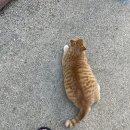 호도천막앵글 | 양양