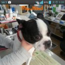 백마동물병원 이미지