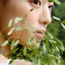 이든클린 이미지