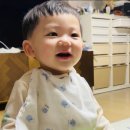 예슬어린이집 | [마미톡 육아모드 월별정보] 11~12개월 #영아 / 아기발달 정보 / 육아정보 / 아이사랑 / 이 시기의 아기...