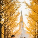 양곡리체험마을 | 11월 충청도 여행 Top 5! 가을 감성 가득한 가볼만한곳 명소