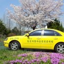 일신자동차 이미지