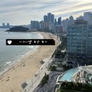 시그니엘 | 시그니엘 부산 후기 | 프리미엄 트윈 미포 하버뷰 솔직 리뷰
