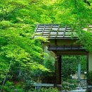 새운농장 이미지