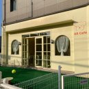 땅콩 애견유치원 이미지