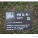 성남시립식물원 이미지