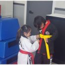 현무관 | 인천체육관 심폐지구력 높이는 즐거운 도장 생활