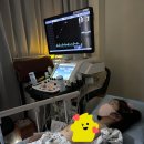펑펑펑 미용실 | 25.12_서울대학교어린이병원 동맥관개존증 시술 후기 2