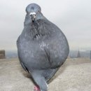 NR-47[동일로]-상-3 | ...이래도?