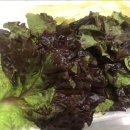 이조한방왕족발 이미지