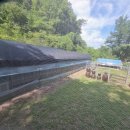 원두막커피 이미지