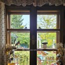 팔암농장 | [비엔나] Mayer am Pfarrplatz, 베토벤 합창 교향곡이 탄생한 와이너리 하숙집 식사 후기