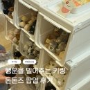 행운PC | 돈돈즈 후기 | 행운을 빌어주는 키링 | 키링 추천