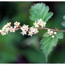 경안천습지생태공원 이미지