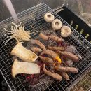 달빛과쉬는시간 이미지