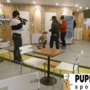 굿모닝퍼피 이미지