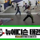 뉴에디슨태권도 이미지