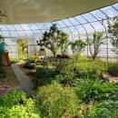 들꽃나라농장 이미지