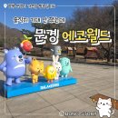 에코 | 아이 없이 가도 괜찮을까? 문경 에코월드 후기