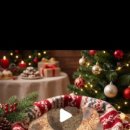 스몰펫하우스 이미지