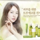 트루에코 네이버블로그