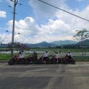 맑은산장농원 이미지