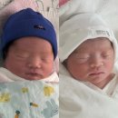 차다림 | 일산차병원 제왕절개 및 1인실 A타입 후기