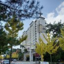 운중약국 이미지