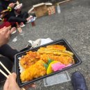 돌고래 | 미야케지마 미쿠라지마 돌고래 다이빙 투어 후기