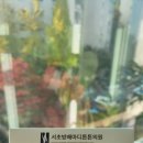 서초방배마디튼튼의원 이미지