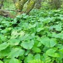 종수 농장 이미지