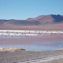 볼리비아 알티플라노 고원 (Altiplano highland, Bolivia) 이미지